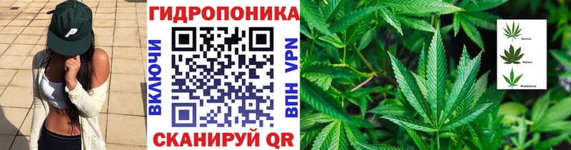 дарк нет наркотические препараты  наркошоп  Ачинск  Бошки Шишки индика 